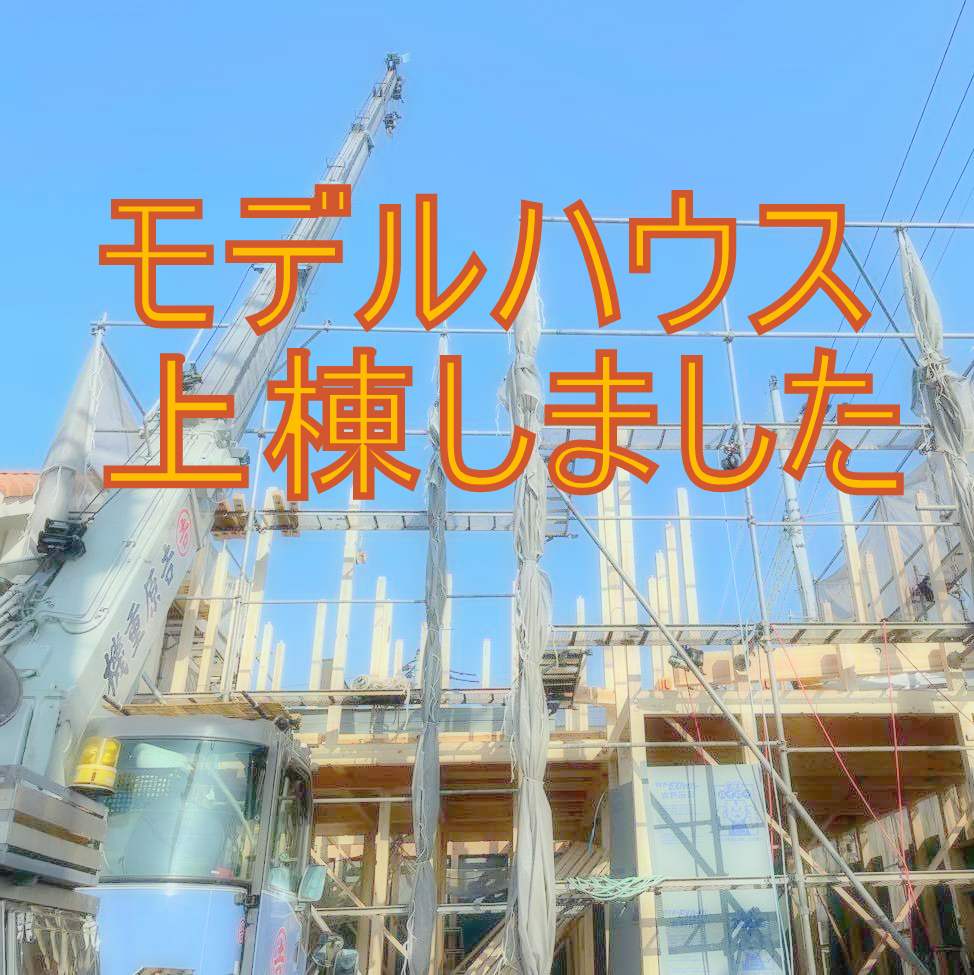 モデルハウス型分譲住宅上棟しました