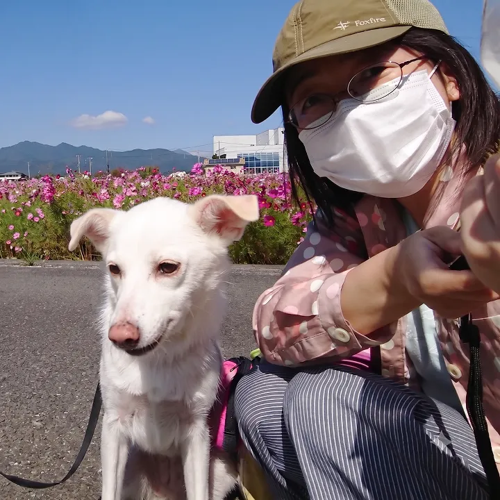 松田 光代