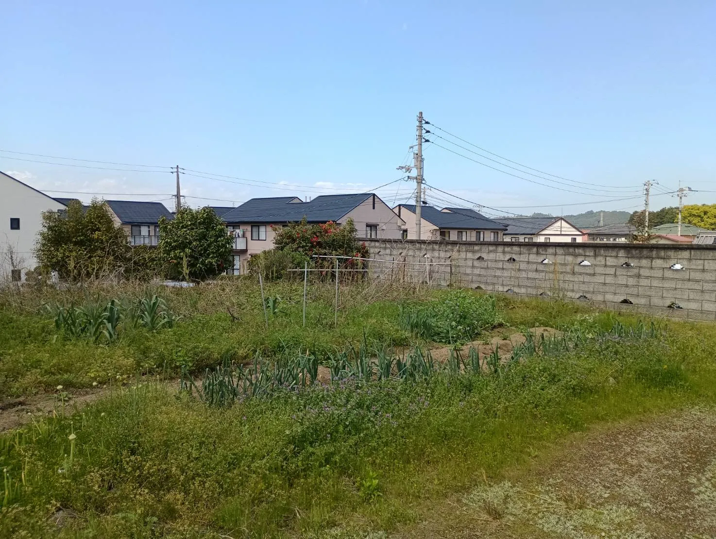 新居浜市中村3丁目｜土地情報