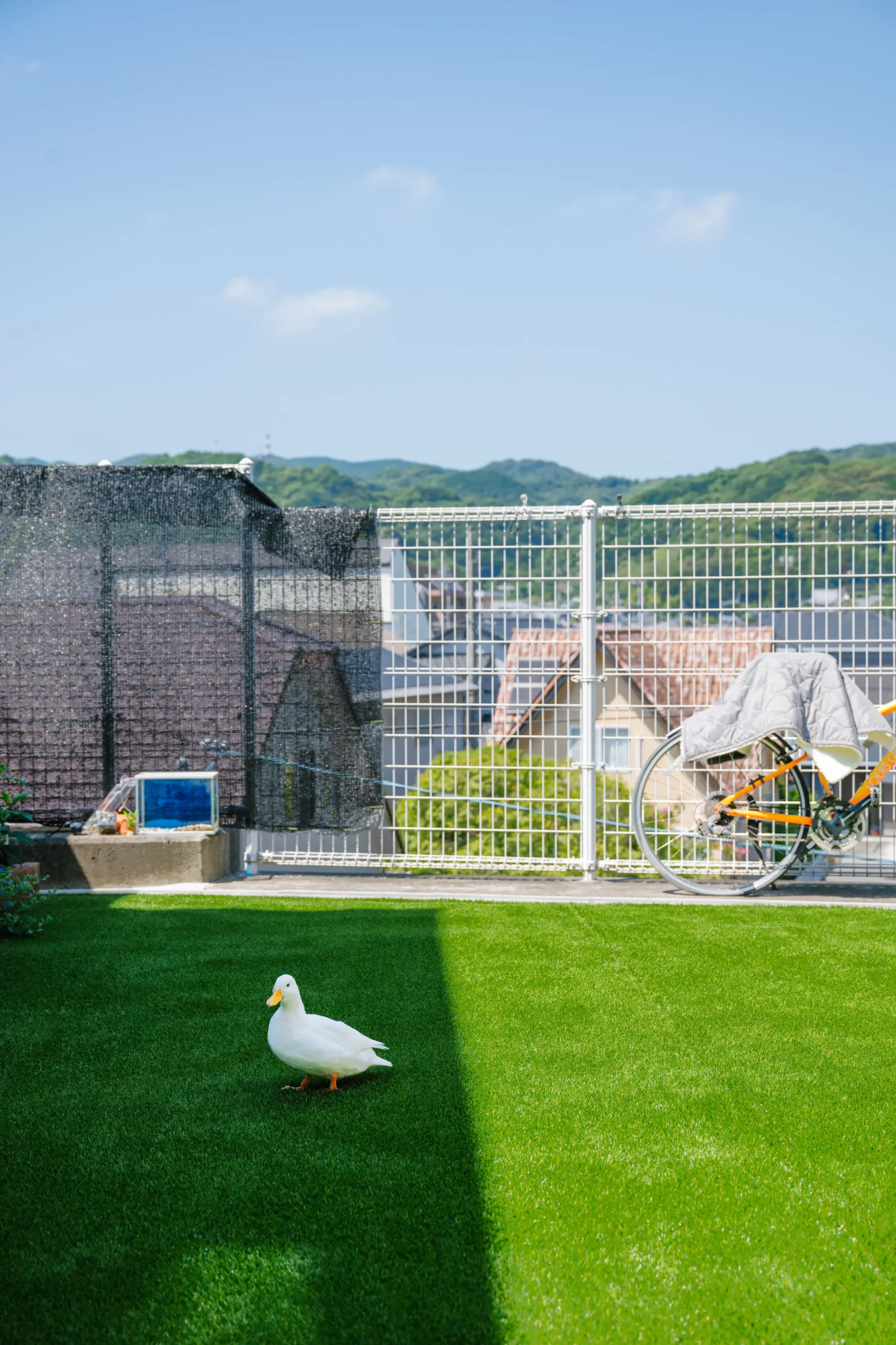 家族もペットも、心地よく暮らせる住まい